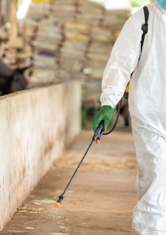 nutztierhaltung stalldesinfektion banner c